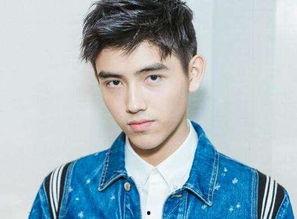 圈内八卦爆料陈飞宇图片,圈内八卦背后的真相揭晓